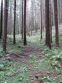 Slika_72