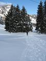 Slika_08
