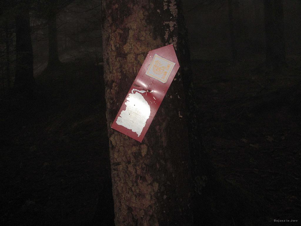 Slika_75.jpg - Če pridete do te puščice, STE NAROBE! Odcep v desno je kakšnih 300 m prej!