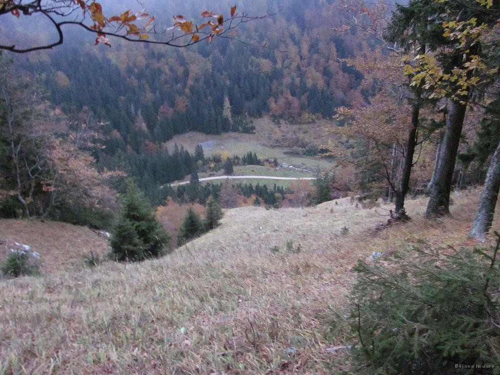 Slika_79.jpg - Vidiva cesto do Tinčkove koče. Ni več daleč.
