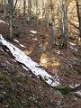 Slika_09