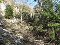 Slika_11