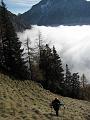 Slika_17