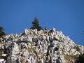 Slika_18