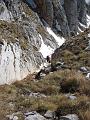 Slika_32