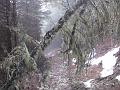 Slika_71