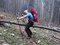 Slika_77