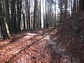 Slika_24