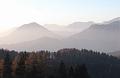Slika_43
