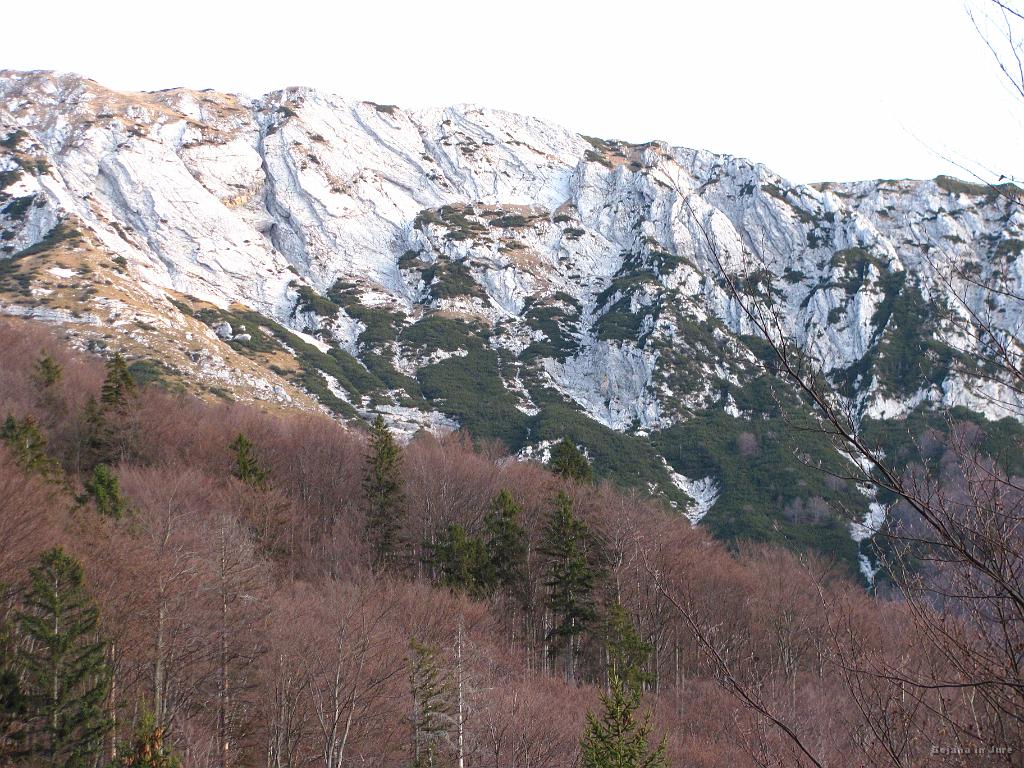 Slika_04.jpg - Lepi kucli.