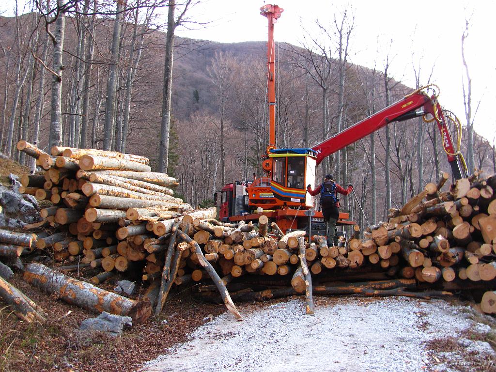 Slika_06.jpg - Skoraj povsem avtomatsko. Žičnica, žaganje, odstranjevanje vej, ...