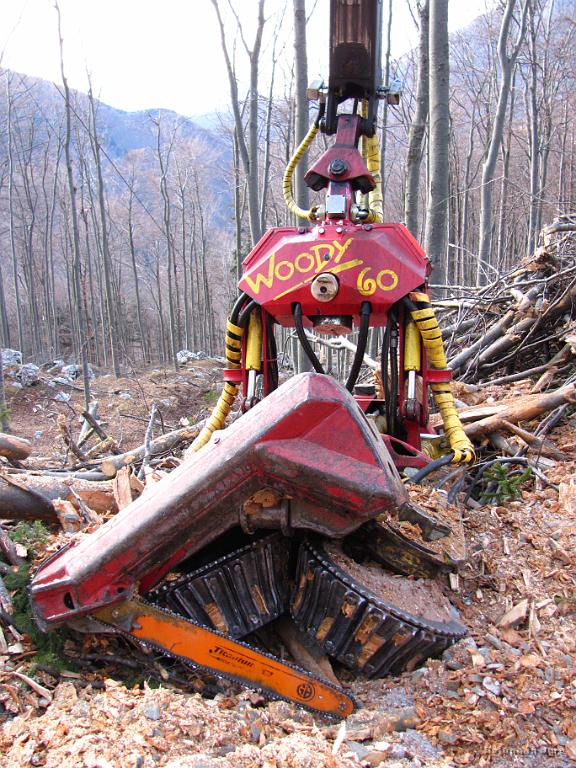 Slika_08.jpg - Woody go :)