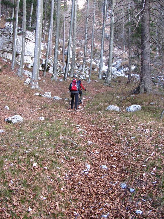 Slika_11.jpg - Prva nemarkirana ni bila trd oreh.