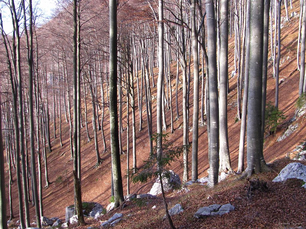 Slika_12.jpg - Tubi bilo celo za smučat.