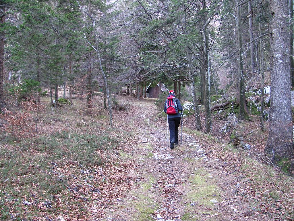 Slika_14.jpg - Z nemarkirane smo se priključili markirani med pl. Razor in Stražiščem. Vidna je že lovska koča.