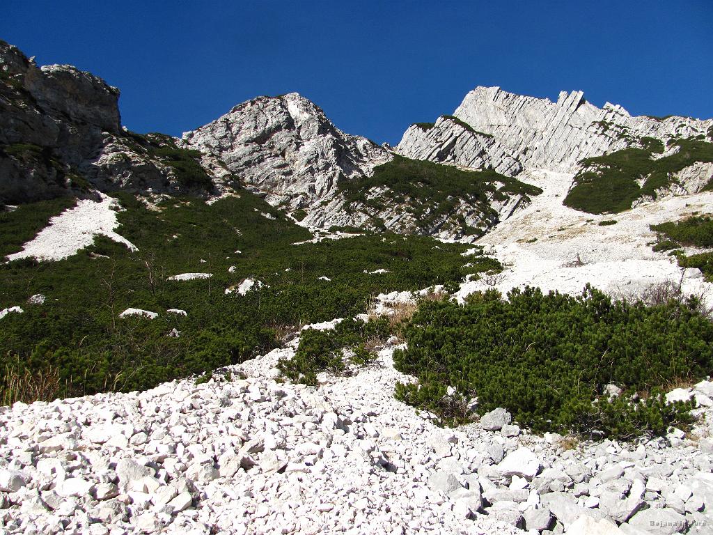 Slika_25.jpg - Po borbi z ruševjem in kratki etapi skozi gozd, kjer smo naleteli na neko pot, smo jo ubrali po melišču navzgor. Namreč zemljevid se tudi v izgubljeni situaciji zdi pravi oz. se ti zdi, da si povsem prav.