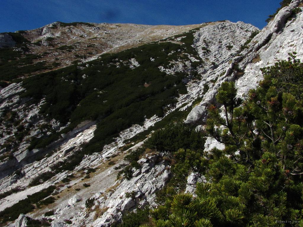 Slika_46.jpg - Hja, na tistih travah bi bilo pa res potrebno biti.