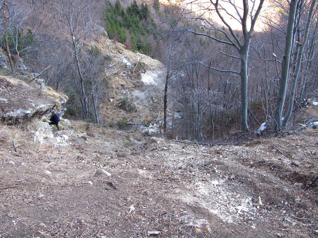 Slika_68.jpg - Tu dol, saj se že vidi gozdna cesta.