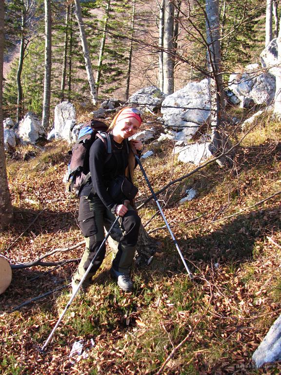 Slika_72.jpg - Naraven stol.