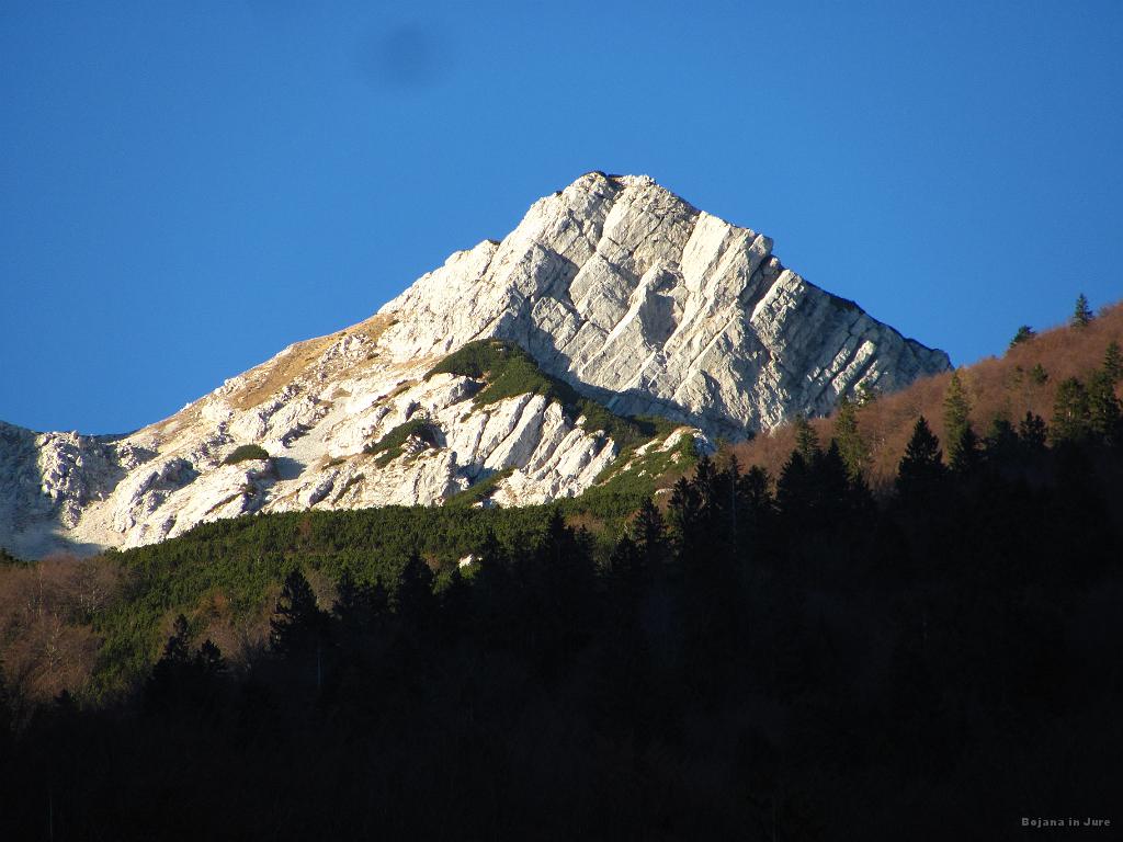 Slika_77.jpg - Na zaraščenem grebenu sem pa stal. No, kaj je to za en kucelj, saj zgleda prav zanimiv?