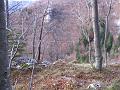 Slika_02
