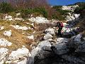 Slika_21