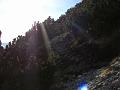 Slika_44