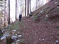 Slika_62