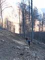 Slika_66