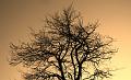 Slika_75