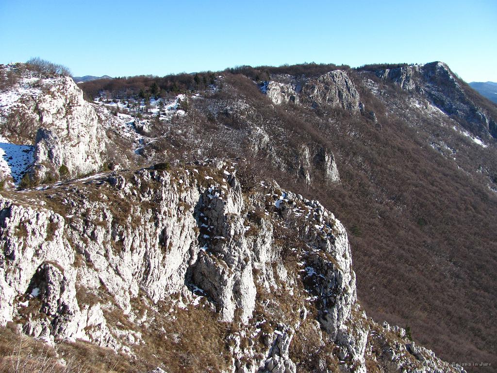 Slika_41.jpg - Kaki lepi rob.