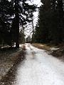 Slika_12