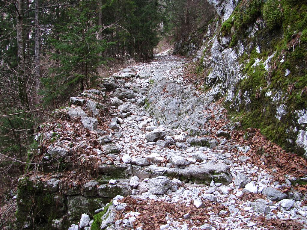 Slika_08.jpg - Začetek poti je kamnit oz. zame osebno prav zoprn.
