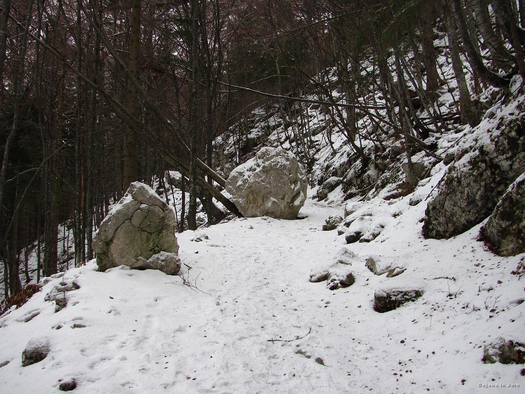 Slika_10.jpg - Snežna odeja se debeli.