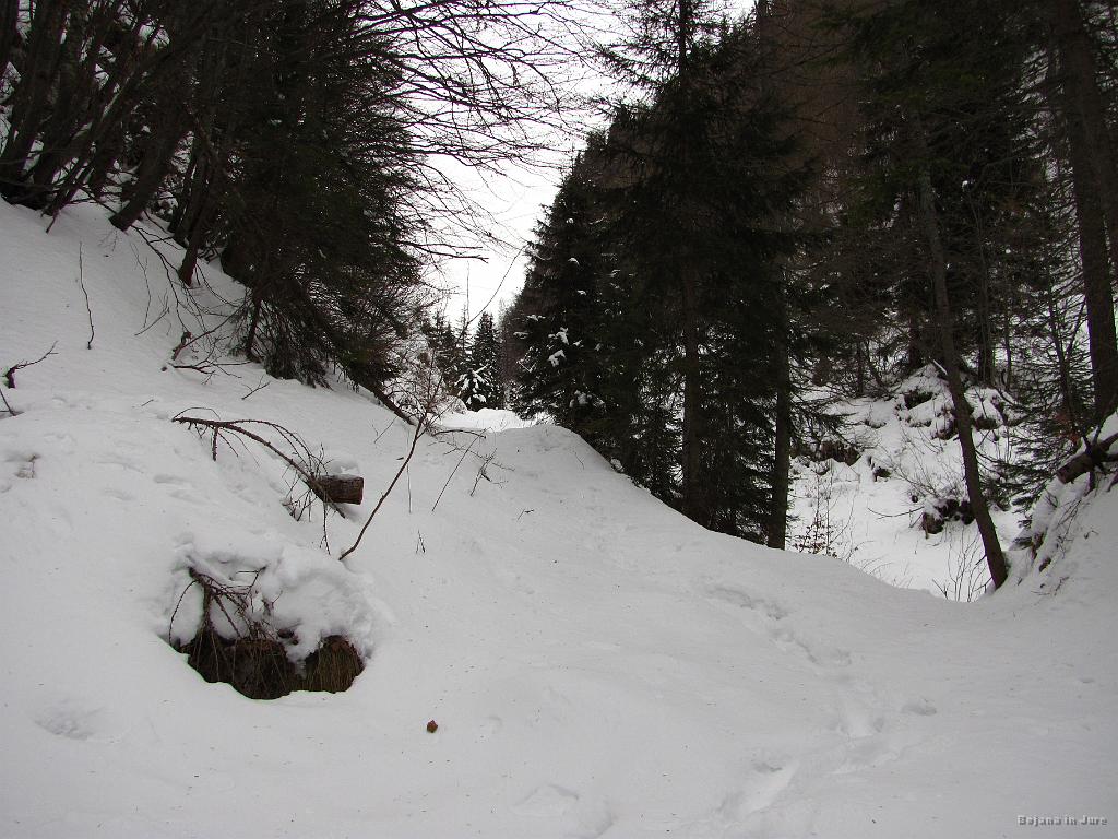 Slika_11.jpg - Malce pred zgornjo postajo žičnice je snega povsem dovolj za smučat.