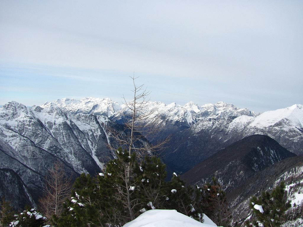 Slika_33.jpg - Bovški kuclji.