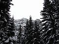 Slika_20