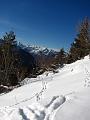 Slika_53