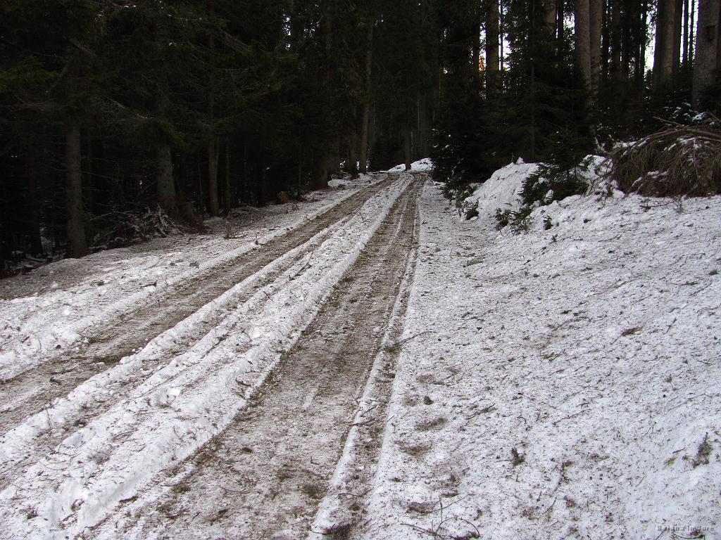 Slika_03.jpg - Po sredini še kar gre. Sicer je to začetek gozdne ceste od glavne ceste proti Rudnemu polju do pl. Javornik.