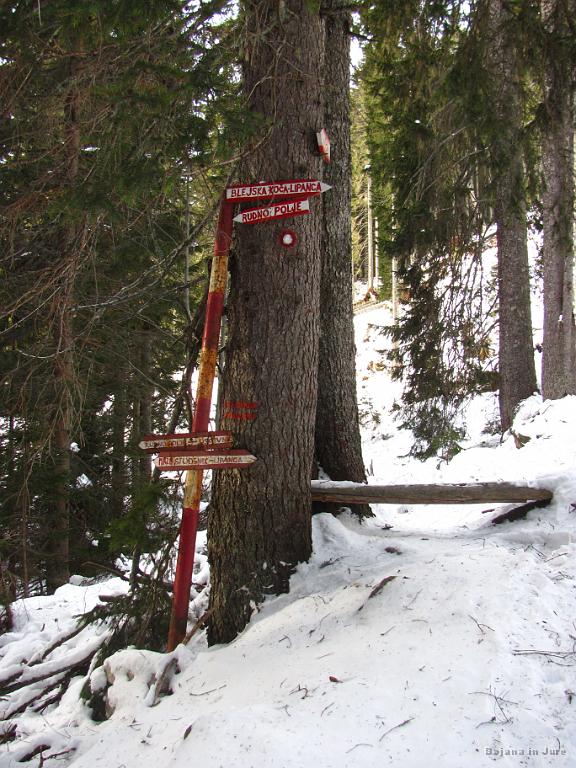 Slika_14.jpg - Križišče poti od pl. Javornik in Rudnega polja v smeri Blejske koče.