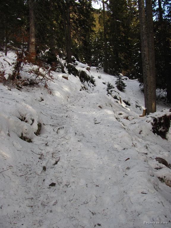 Slika_15.jpg - Od tu naprej se kamenje že bolj globoko skriva pod podlago, vendar pa brez škrtanja navzdol ni šlo.