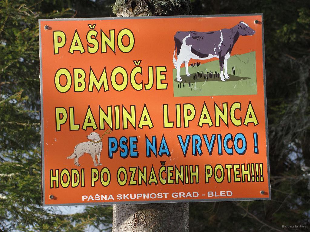 Slika_16.jpg - Pozimi to ne bi smelo veljati :)