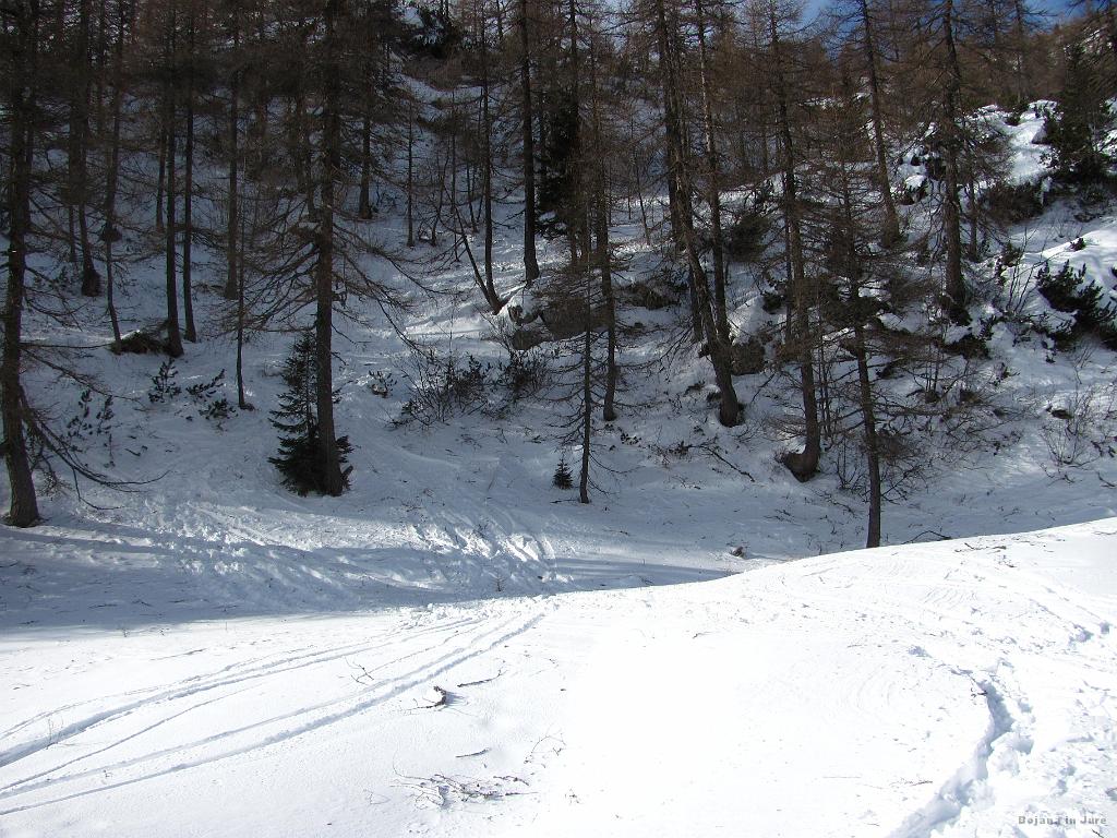 Slika_32.jpg - Že skoraj pri koči. Vidimo izstop iz gozda.