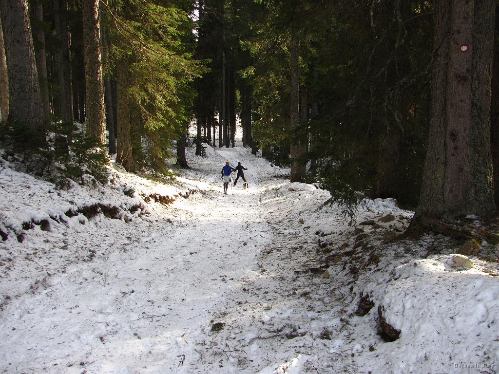 Slika_40.jpg - Ja, dobra je bila ta s temi sulicami, saj klanec ni ravno blag.