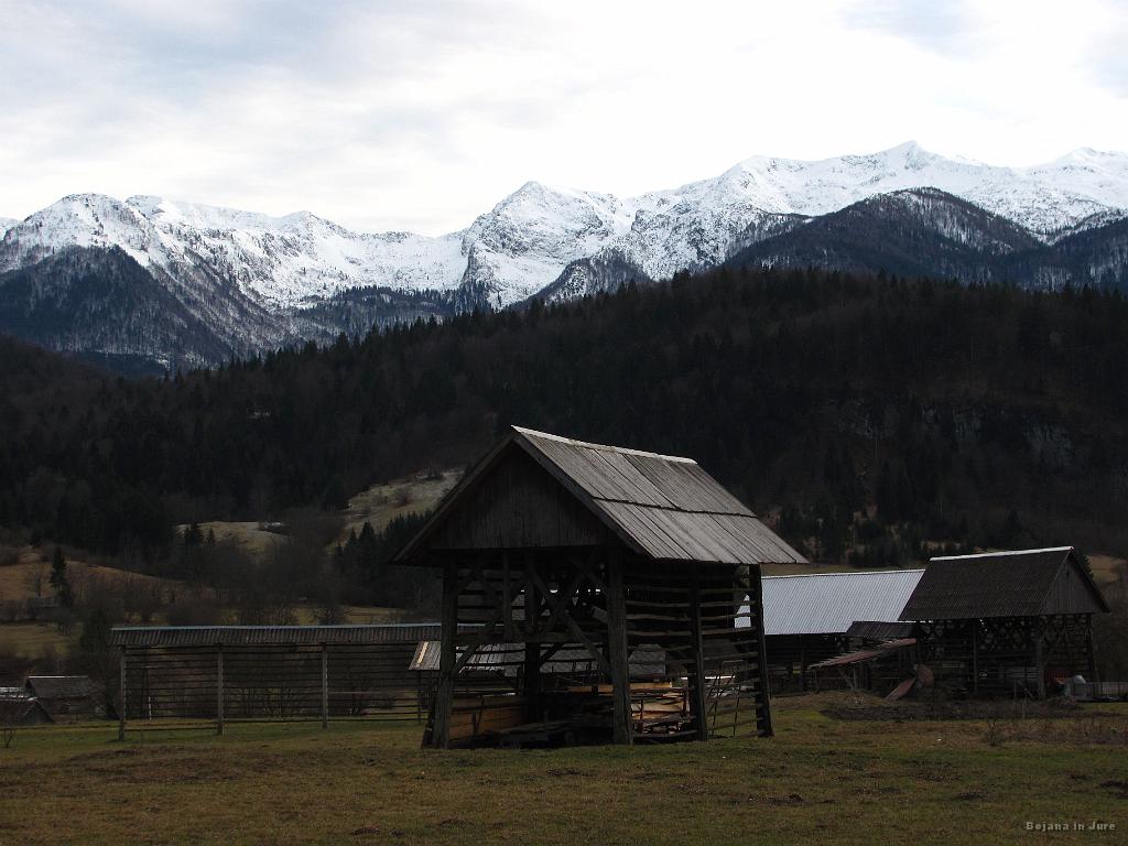 Slika_48.jpg - Zdi se mi ta so ti kuclji nad Bohinjem bolj zaliti?!