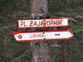 Slika_06