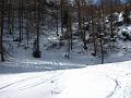 Slika_32