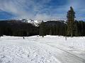 Slika_36