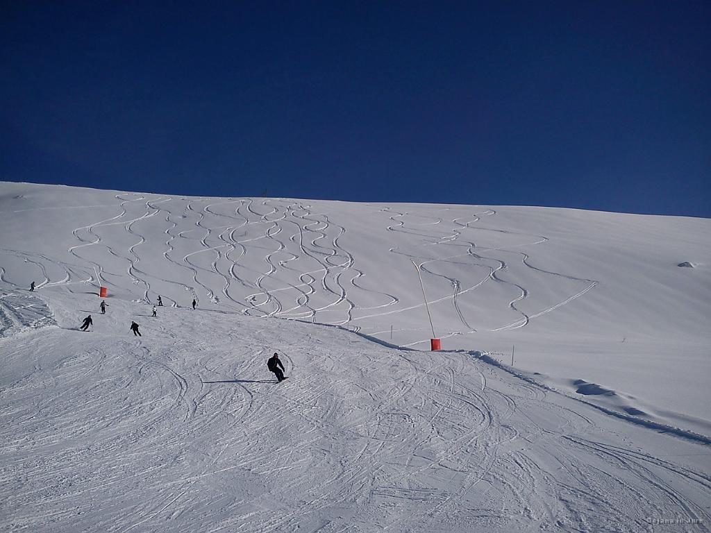 Slika_035.jpg - Skrajno desne fure so naše. Za prvi dan je bilo dovolj!