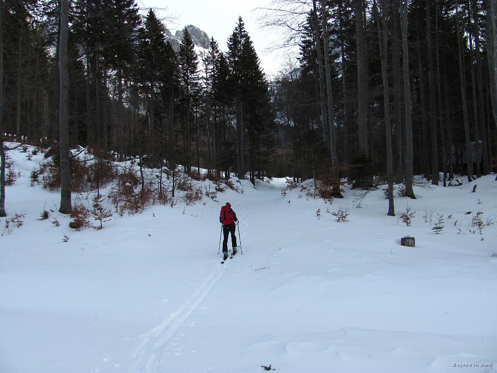 Slika_11.jpg - Priključiva se gazi, ki vodi do Mangartske planine.